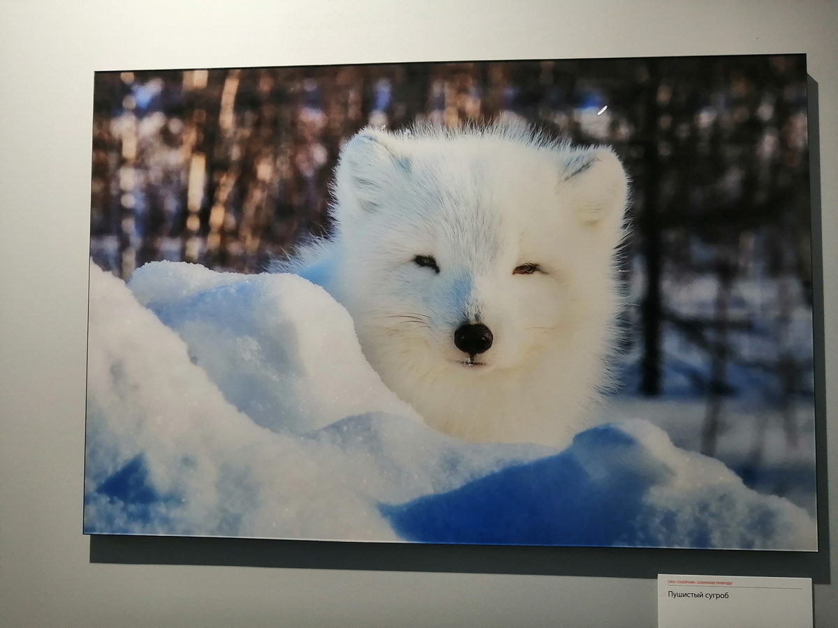 Все фото мои