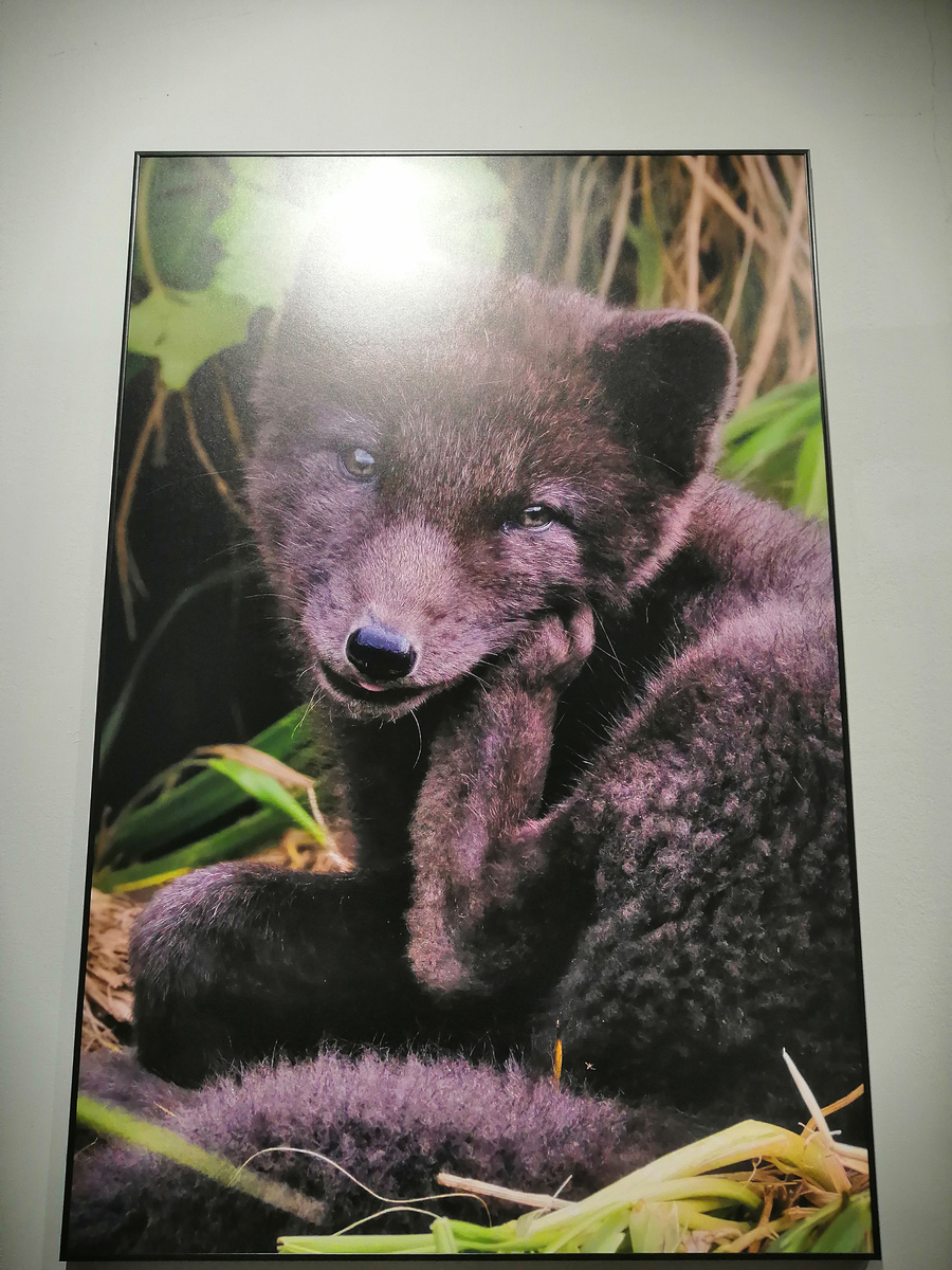 Все фото мои