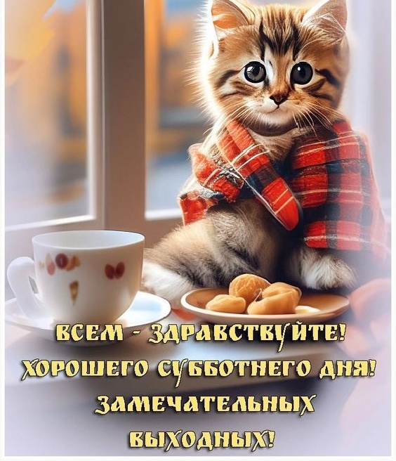 Фото из свободного доступа интернета