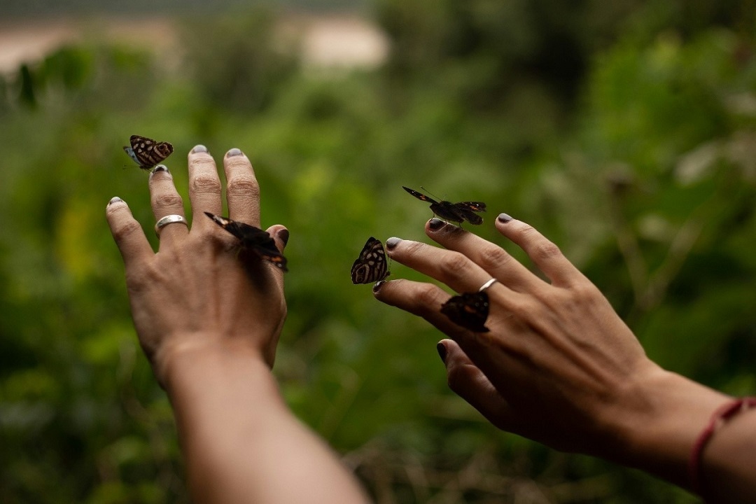 Источник: https://unsplash.com/ 