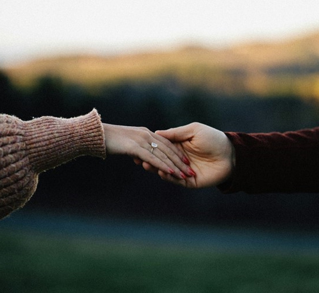 Источник: https://unsplash.com/  