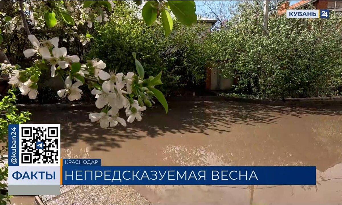    Видео канала «Кубань 24»