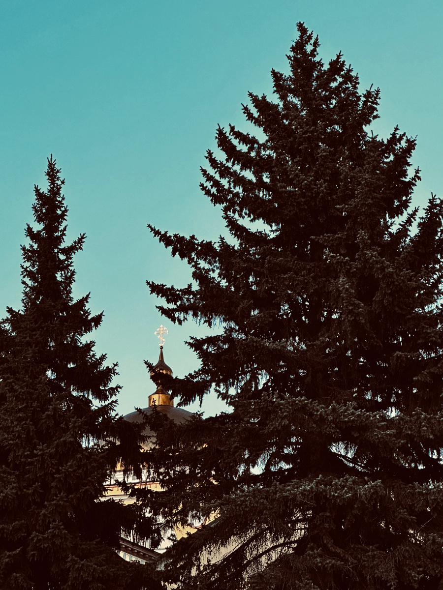 Фото автора канала