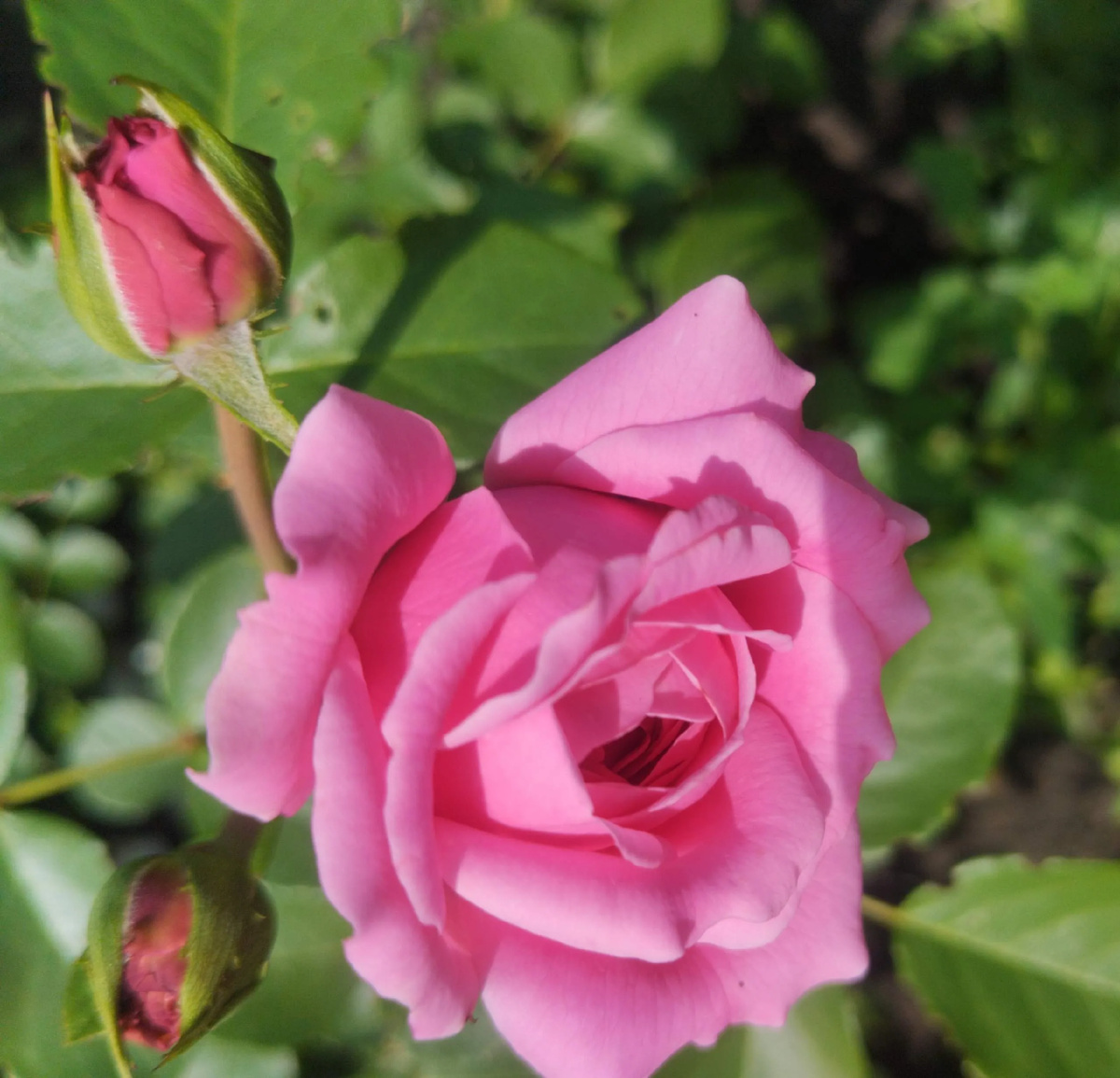 фото Татьяны