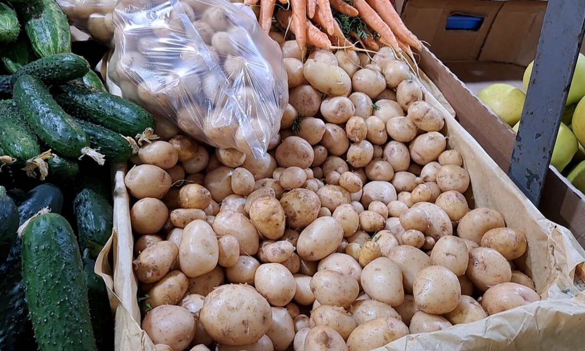    Видео канала «Кубань 24»