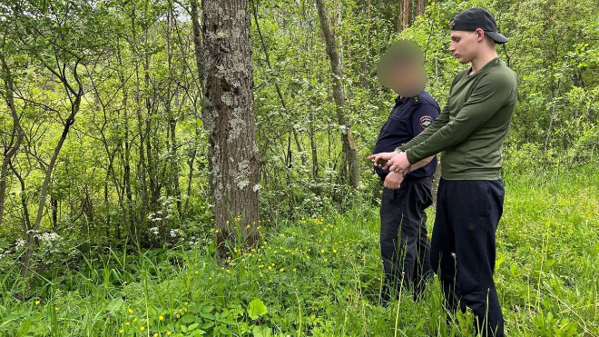 Фото: Северо-Западная транспортная прокуратура