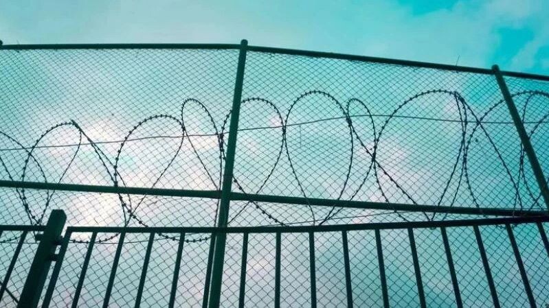    Фото: Akin Ozcan/Shutterstock/Fotodom