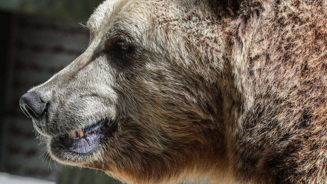    Bulkin Sergey/news.ru/Globallookpress