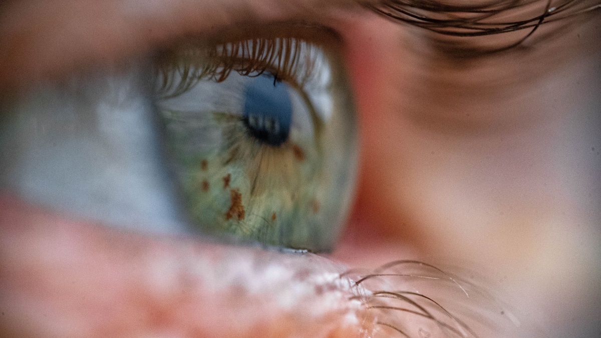    Новые клетки в глазу могут восстановить зрение