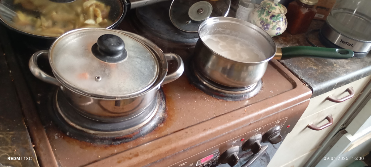 Еда для одной из моих собак, сидящей на вареном рационе, составленном диетологом исходя из показателей здоровья