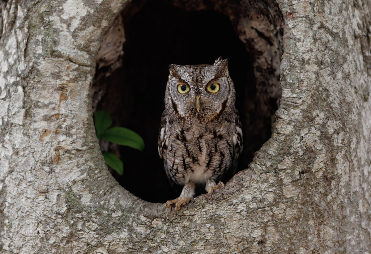 Harry Collins/istock 