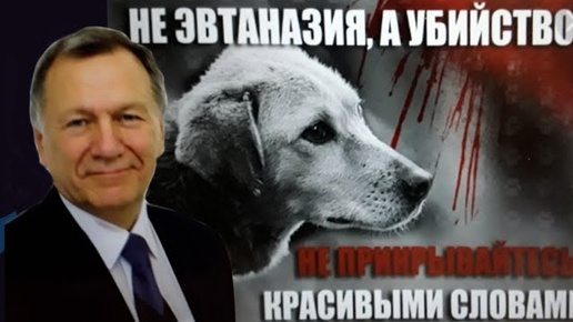 Закон об усыплении животных 2025