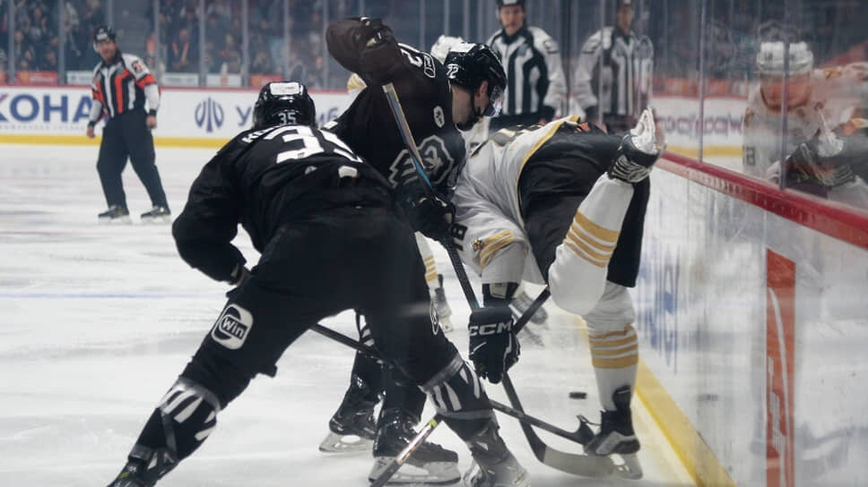 Фото: Александр Кондратюк / РИА Новости