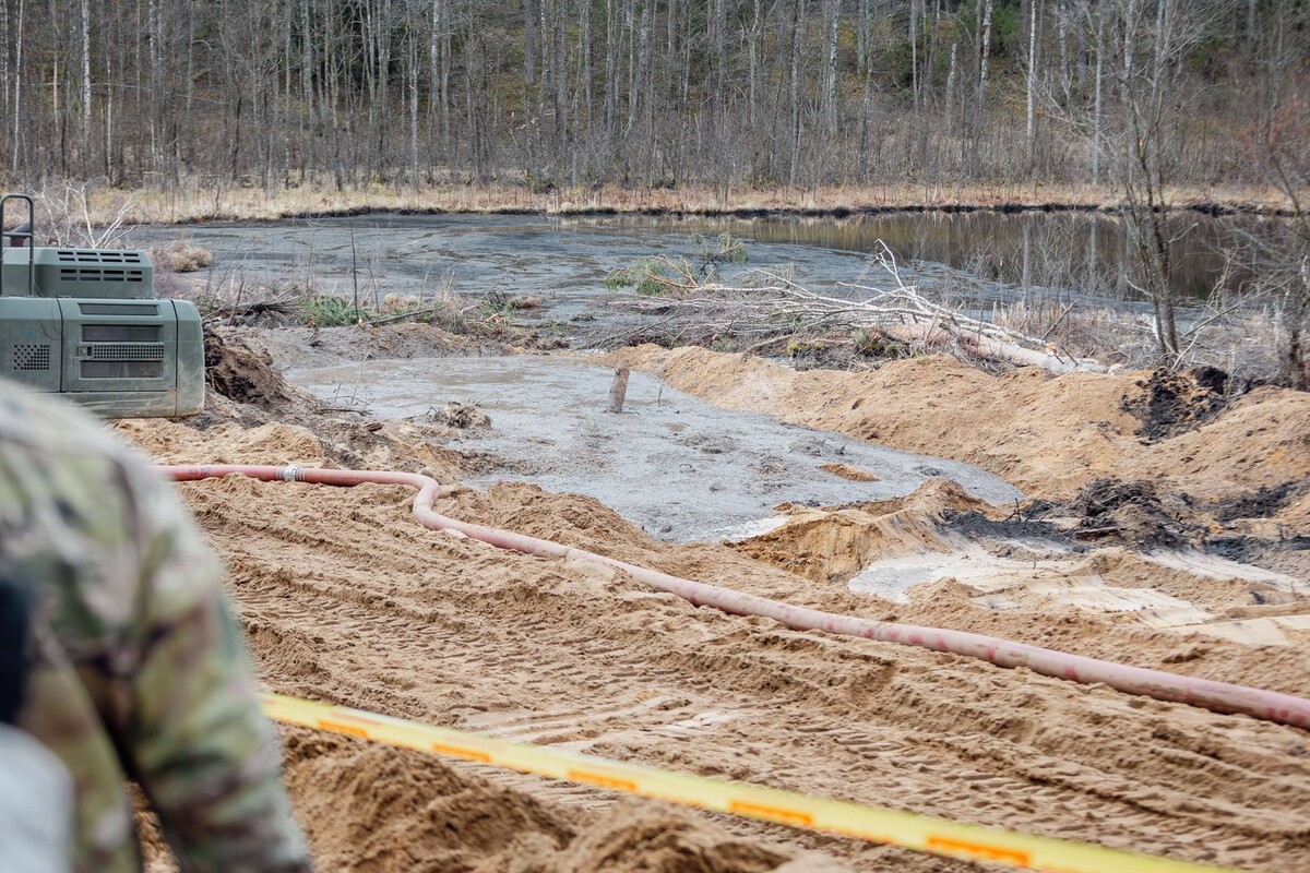     / Источник: © IMAGO/Robertas Riabovas/Global Look Press