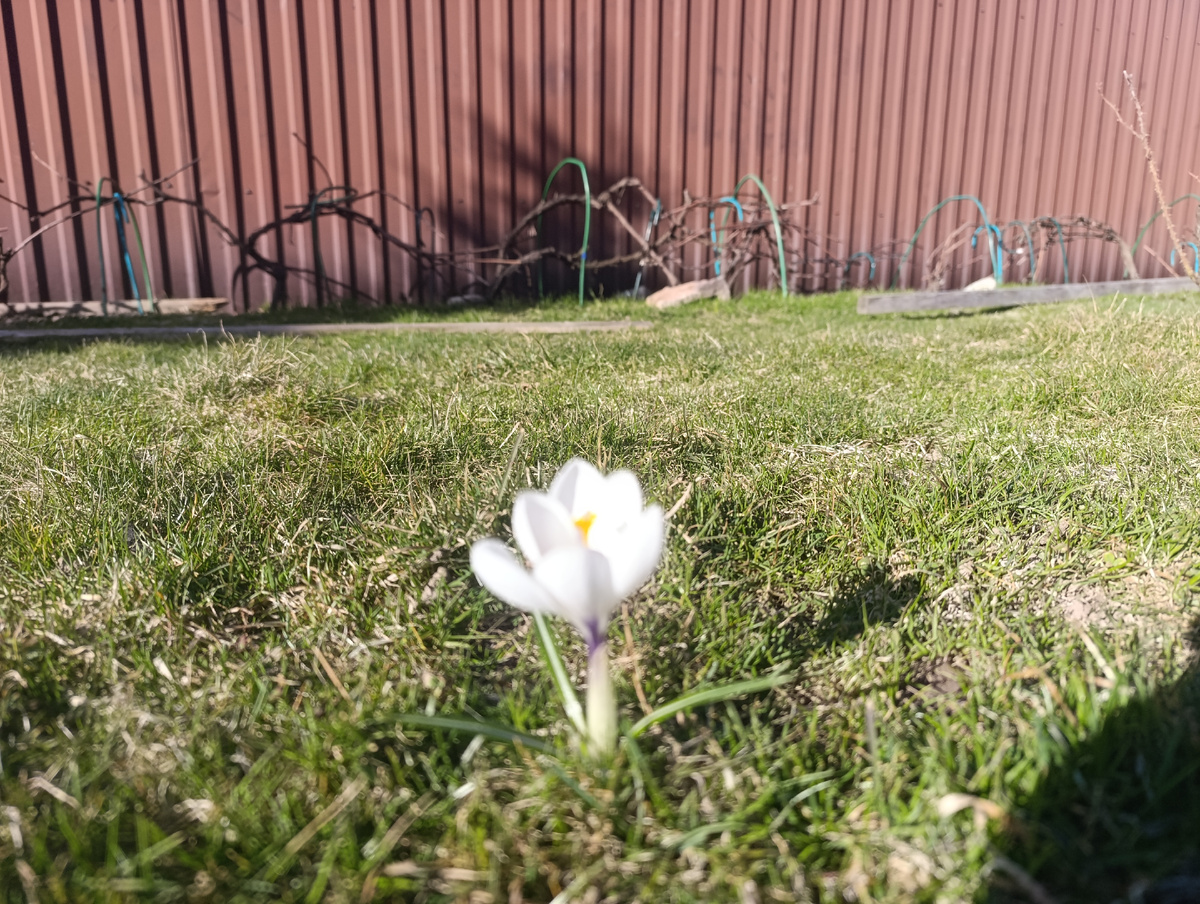 Конец марта