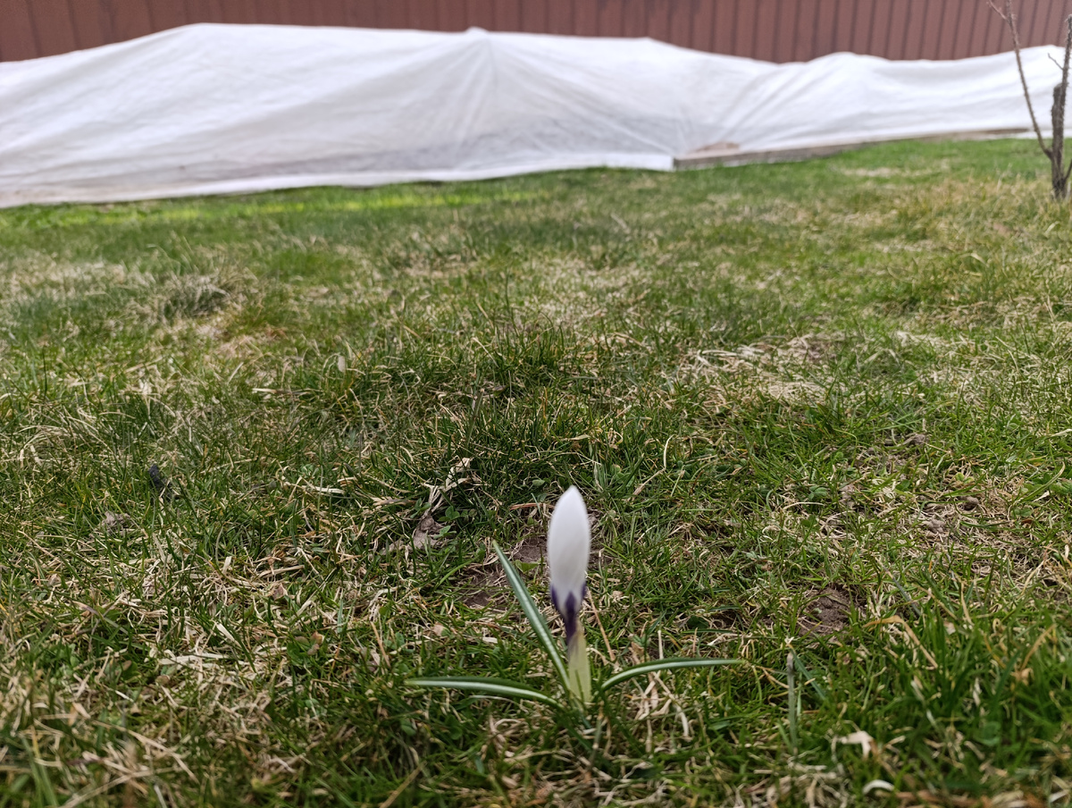 начало апреля