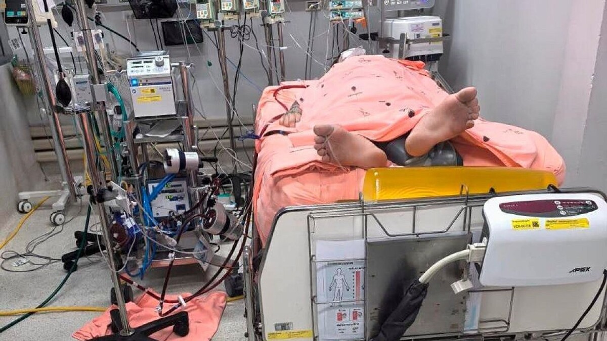    Фото: t.me/shot_shot