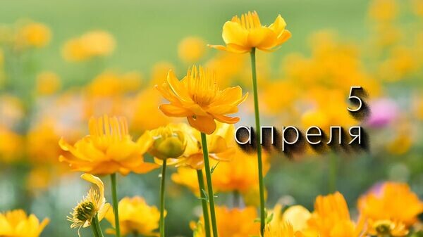    © Photo : Irina Babina Nature and Wildlife: Pexels