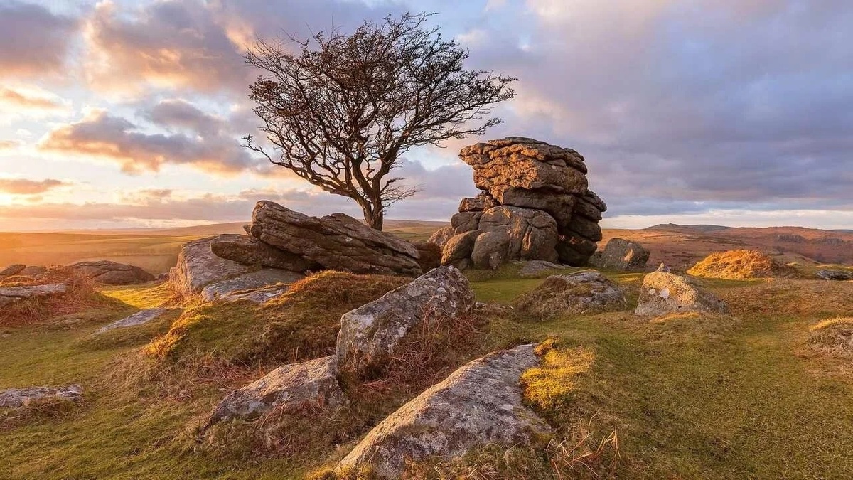 Фото из доступных источников.