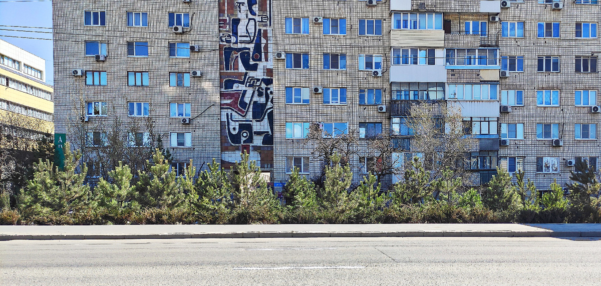 На фото видео, как деревья понатыканы