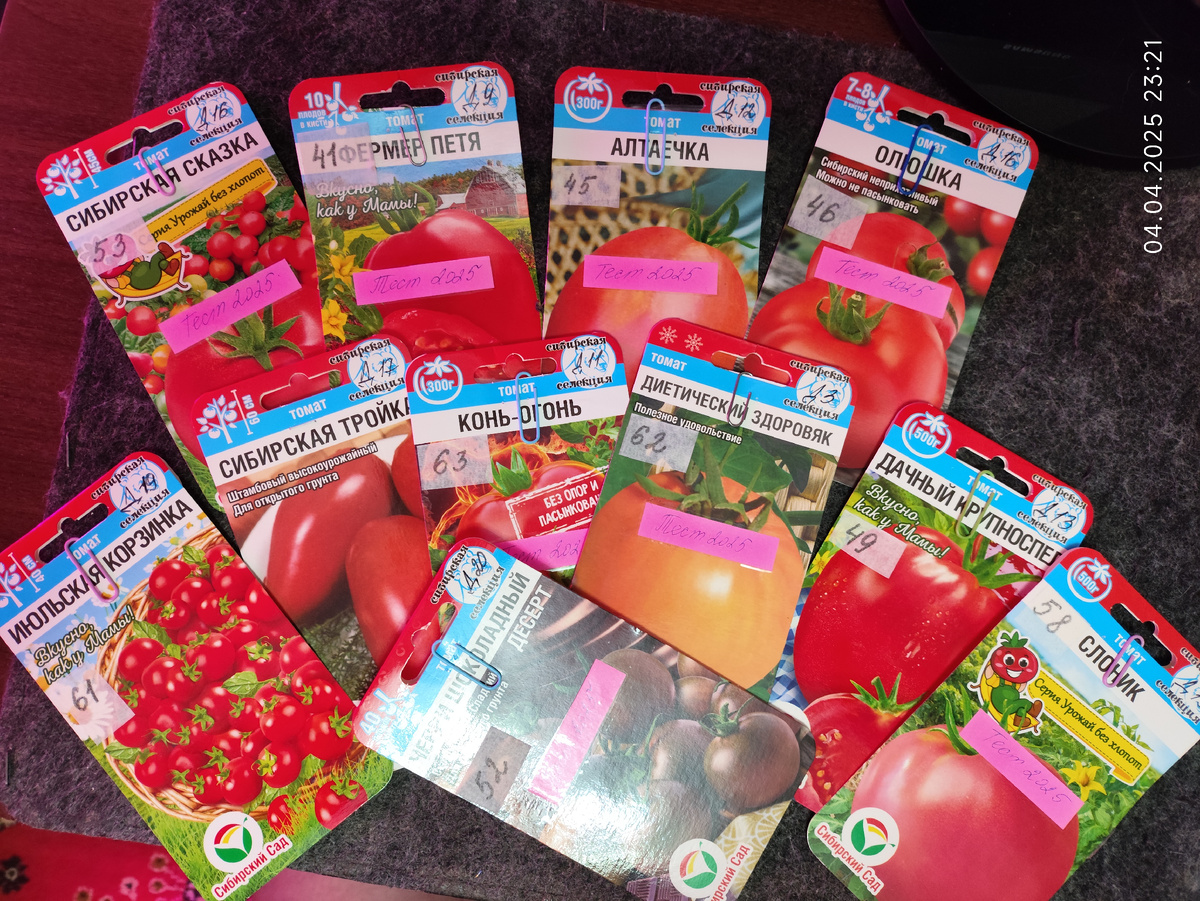 Сортовые  томаты  от Сибирского сада  #Опытный_эксперт_СибСад2025
