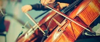 «Профессионализм педагога – дело субъективное и… для одних – это одно, а для других – совсем другое…» А на самом деле, что это такое?