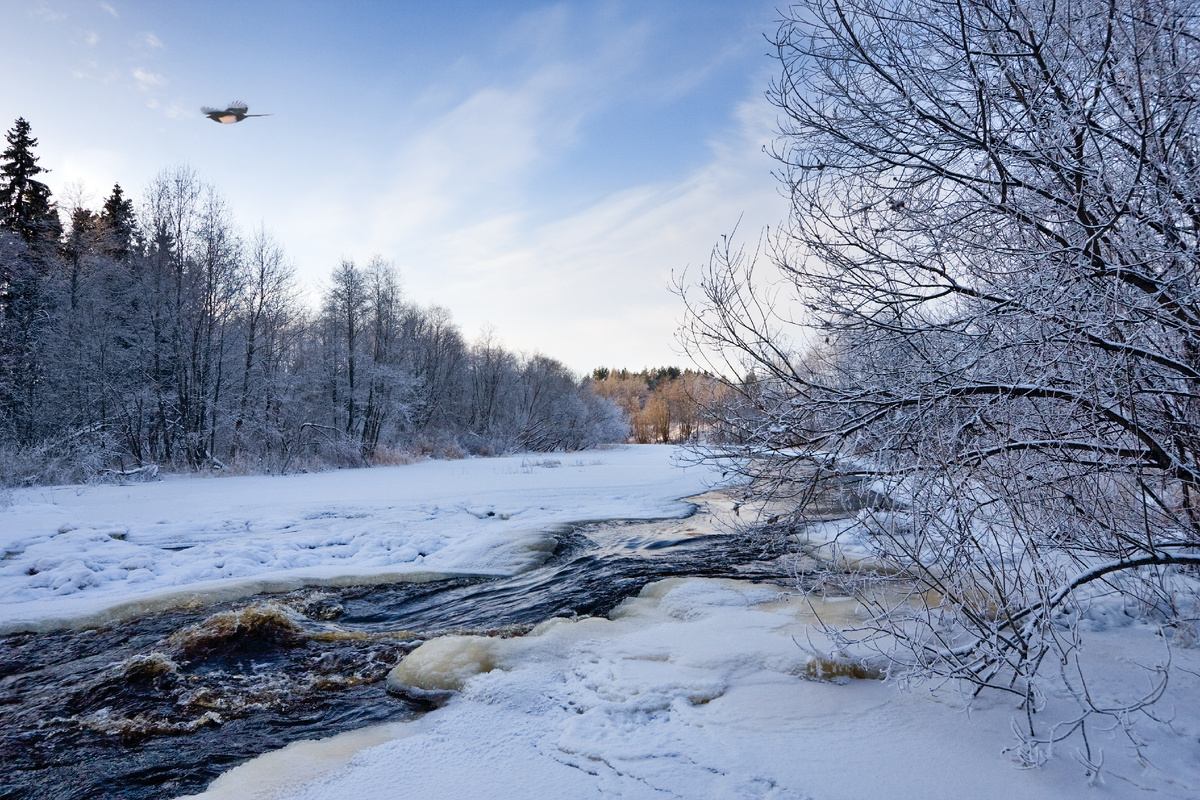 Фото Елены БЕЛОЗОРОВОЙ.