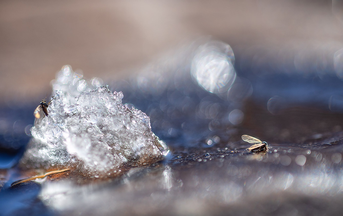 Фото Елены БЕЛОЗОРОВОЙ.