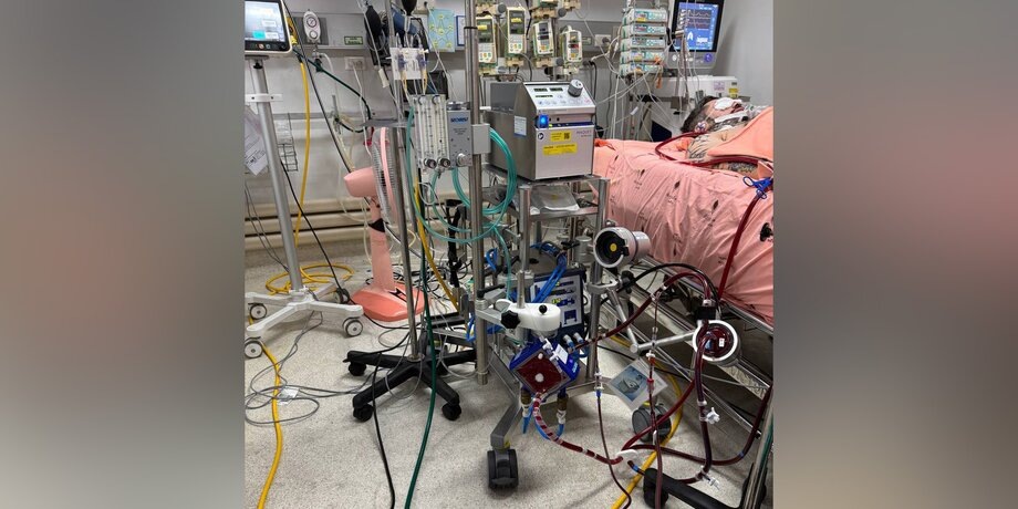 Фото: телеграм-канал "ПРОЕКТ ВЫЖИВШИЕ"