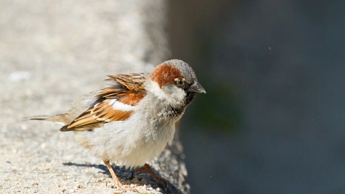     Источник: freepik.com