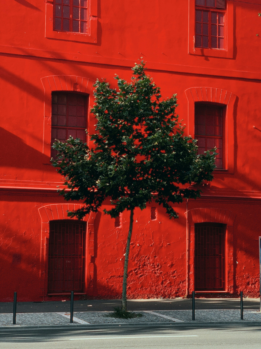 Photo by Anton Sharov on Unsplash