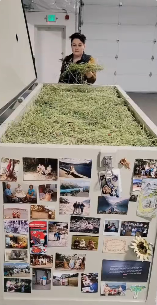 Гроб при компостировании 