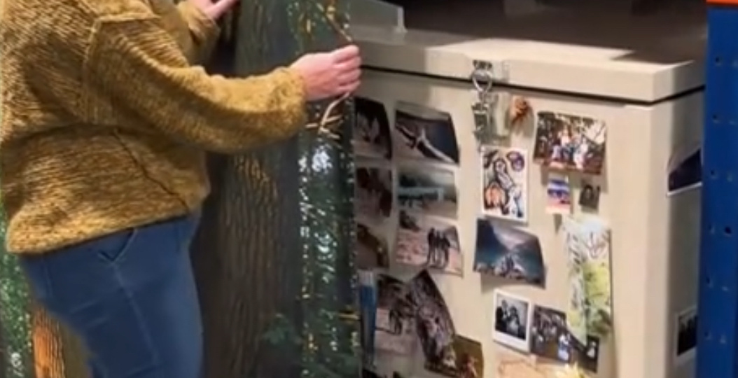 Компостирование человека. Будущее похорон или просто странная идея?