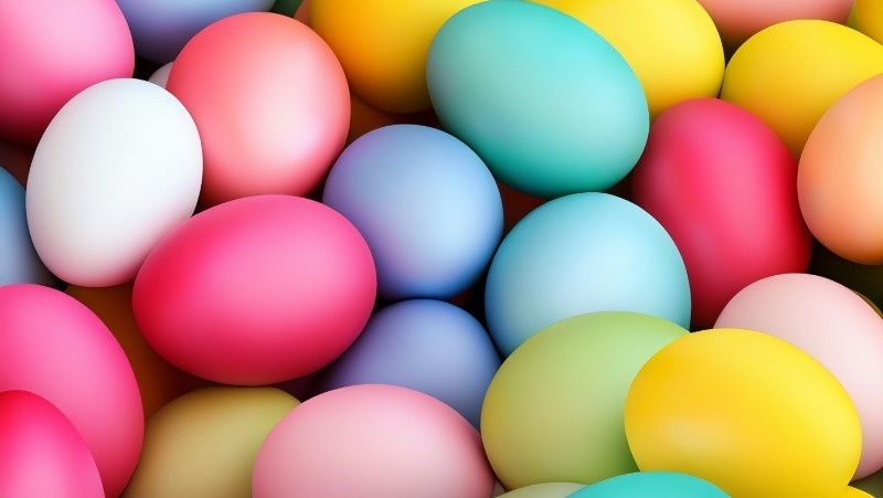 Фото: @homostudio / unsplash.com