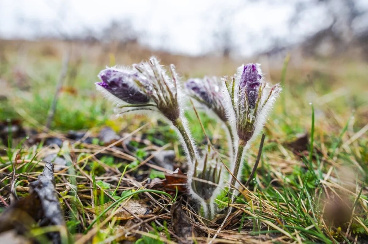    Победит сильнейший.