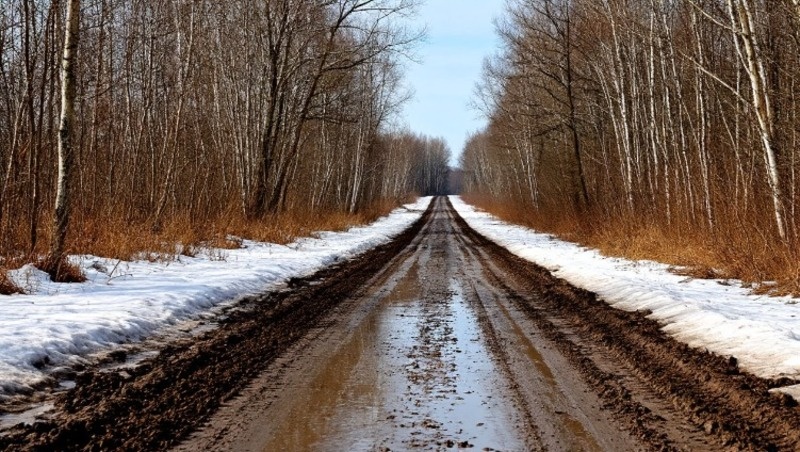 Фото: Изображение создано с помощью нейросети «Шедеврум»  
