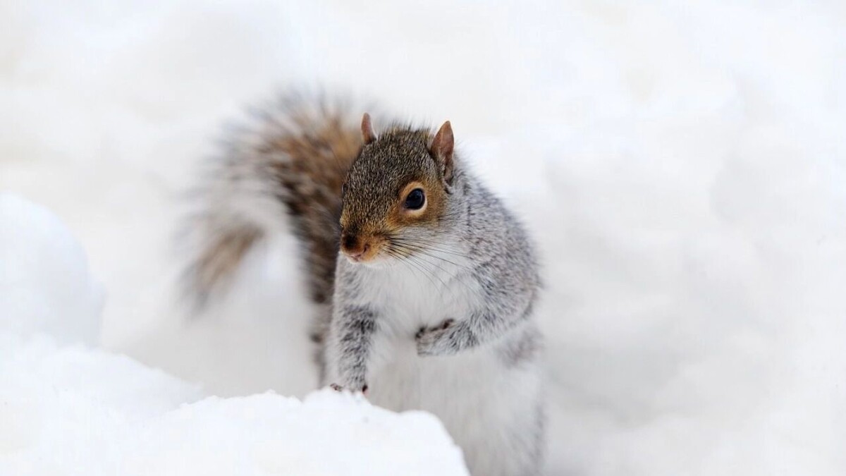     Источник: freepik.com