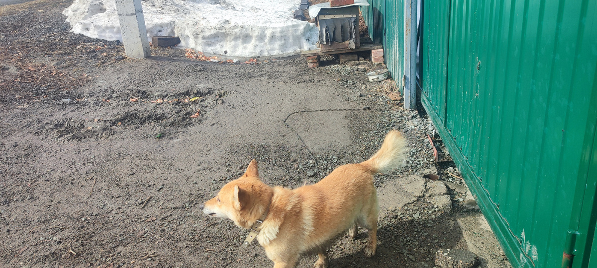 Малыш переехал на своё летнее место жительства