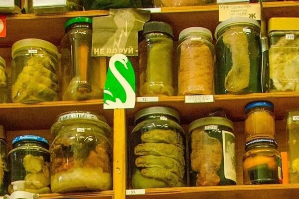 Музей греха в Тамбове. Обложка © muzeygreha.wixsite.com