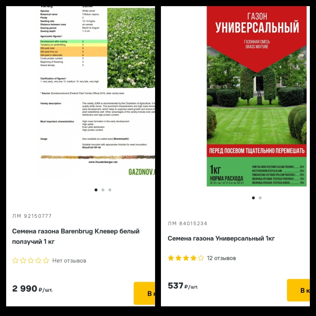 Цена на апрель 2025г. Стоимость за 1кг семян 