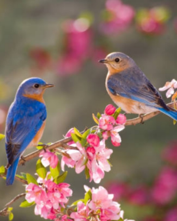 Фото, конечно не моё 