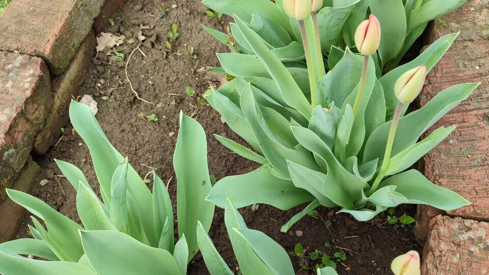 Глобальные неудачи или просто рассвет, утро