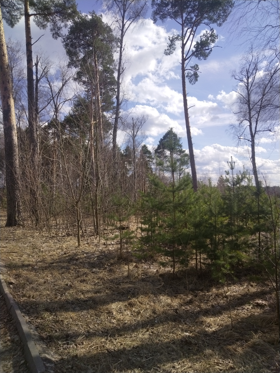 Снесённое кладбище