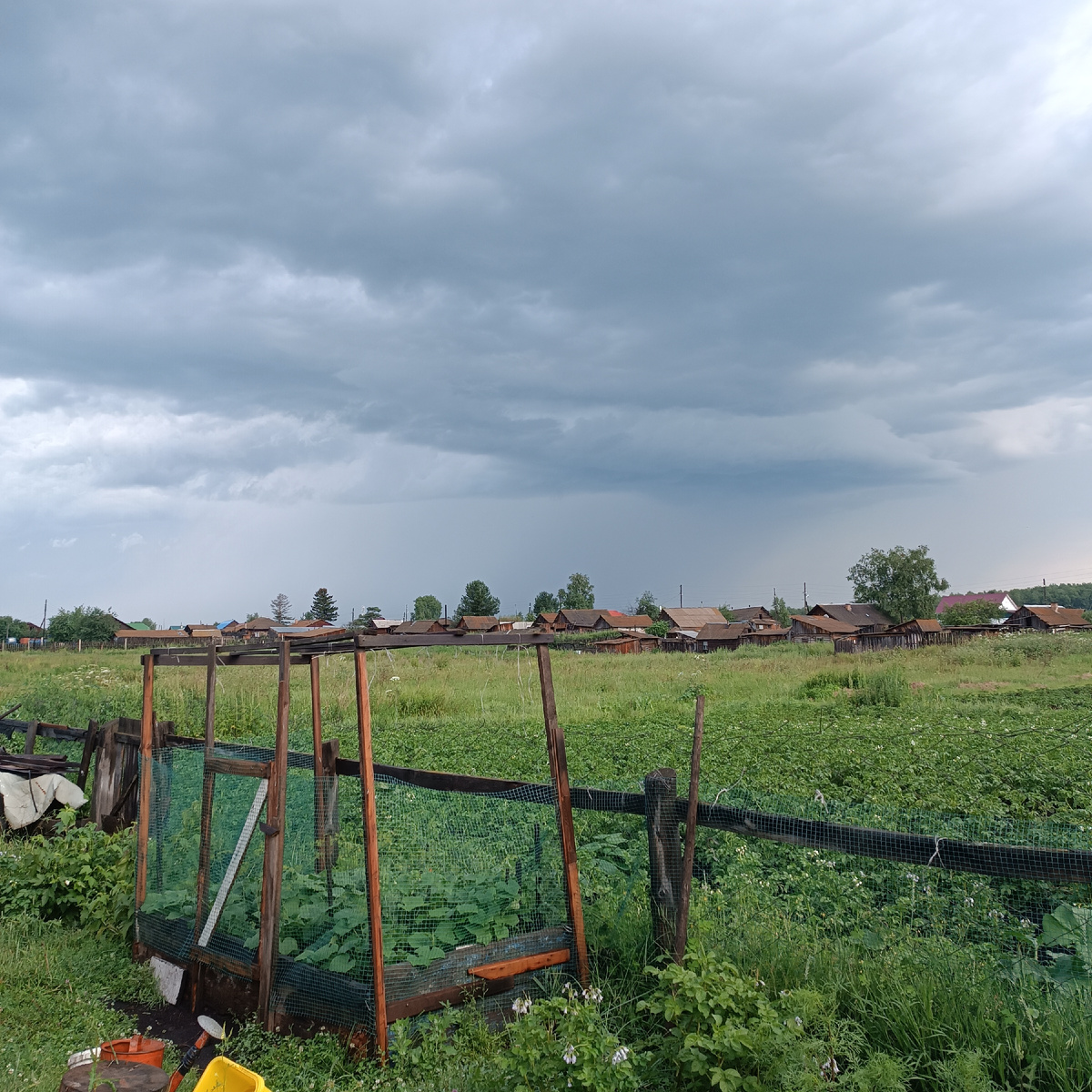 Фото того года 