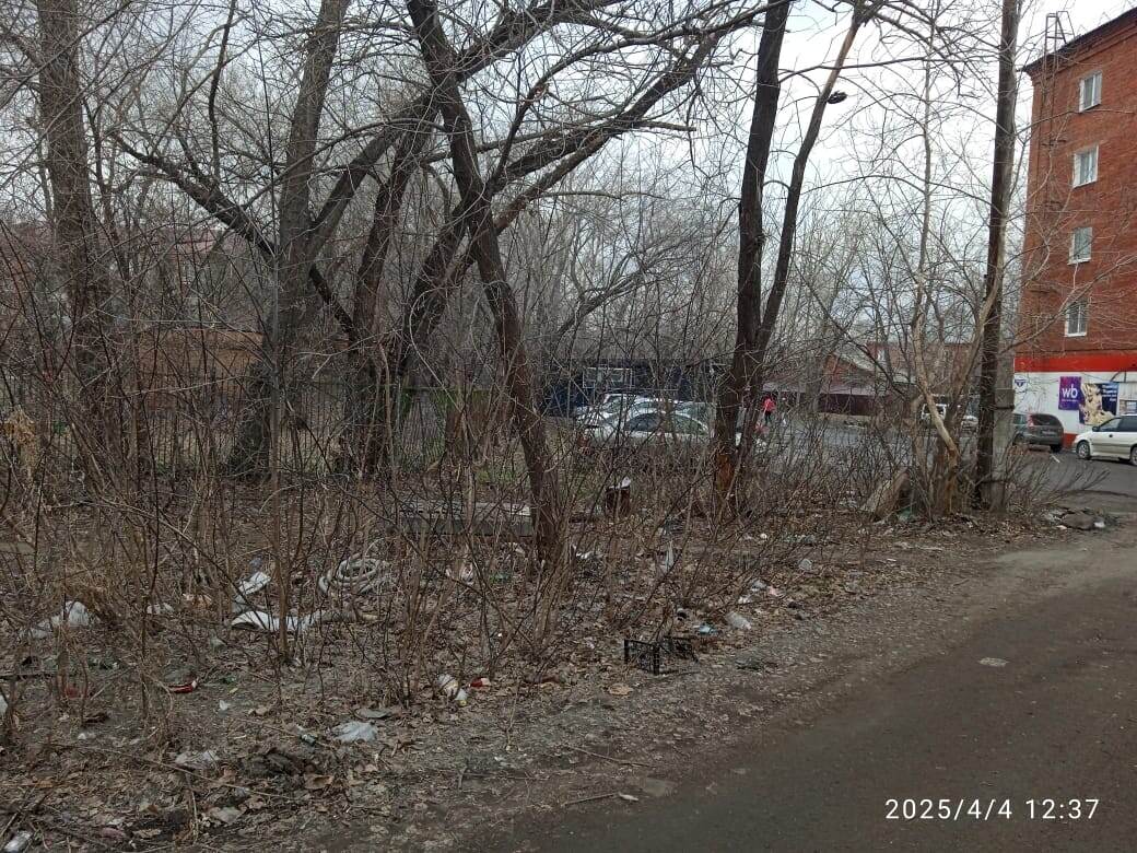 г.Омск пр.Космический - путь/проход к ул.Пархоменко.   Заросли и кучи мусора.