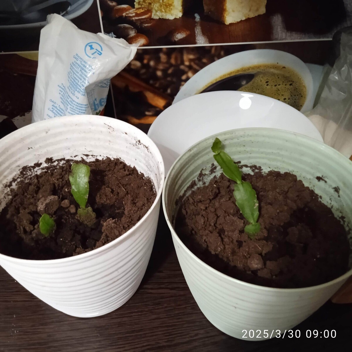 Редактировать галерею