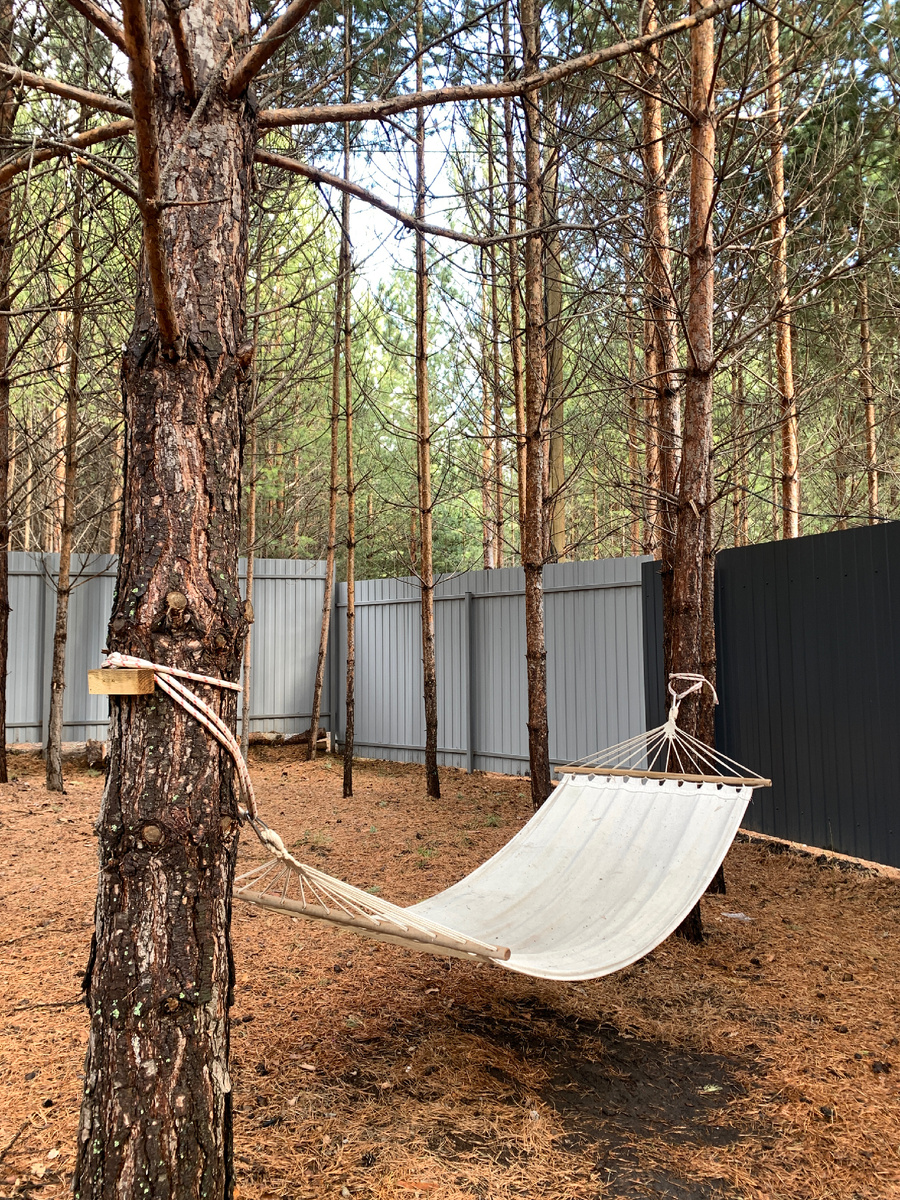 Второй раз арендуем домик в сосновом лесу. Воздух чистейший!