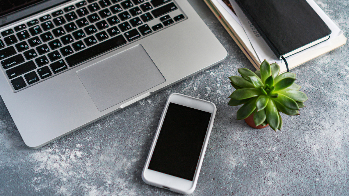 Копирование и озвучивание рассказа запрещено без согласия Юлии Лирской