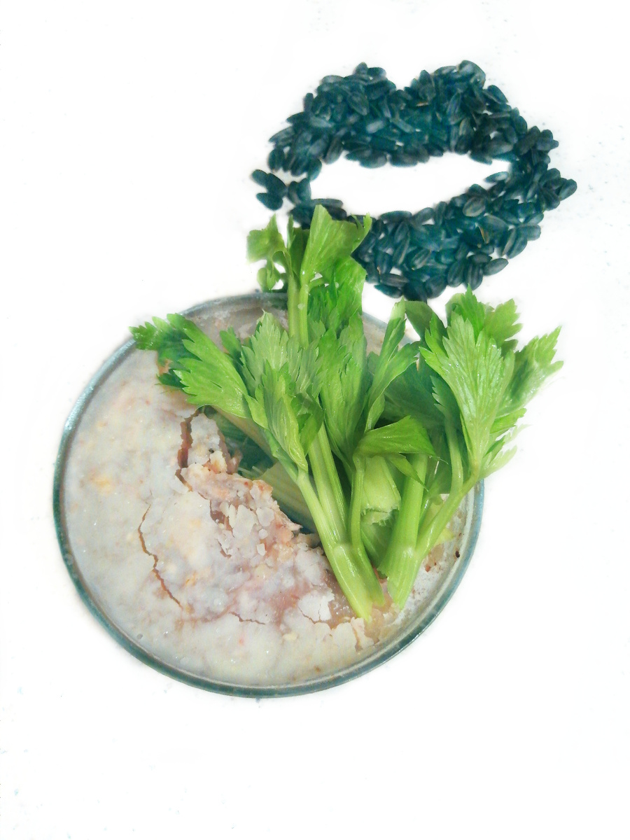 Фото автора канала. Холодец, сельдерей, семечки.