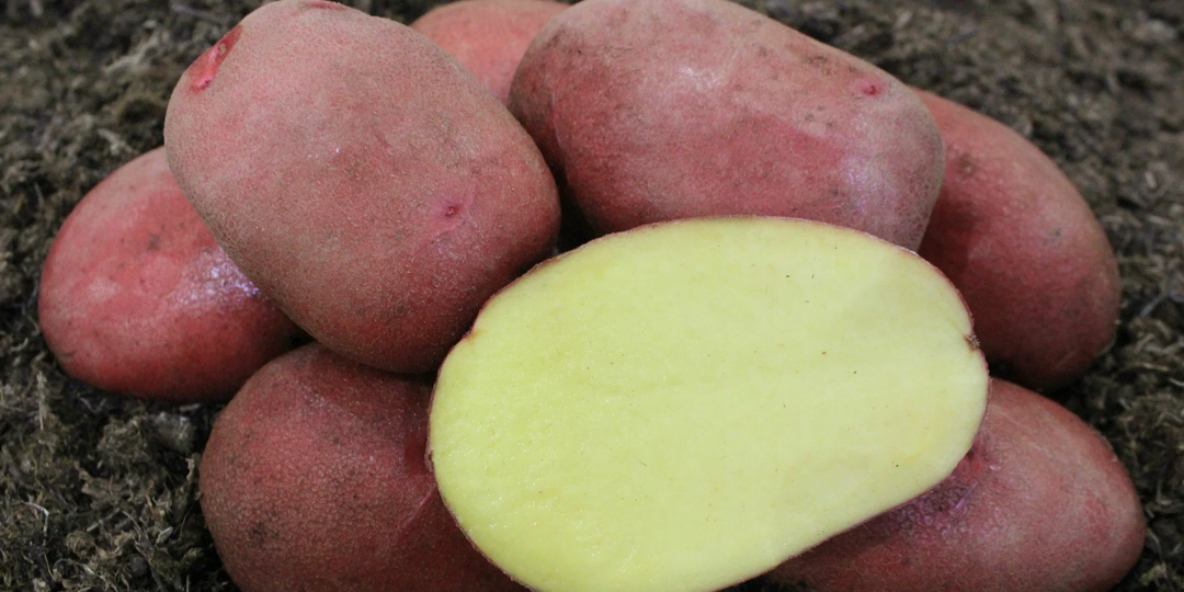 17 + 14 сортов картофеля завезли в наши магазины. Цены, описания, фото, отзывы